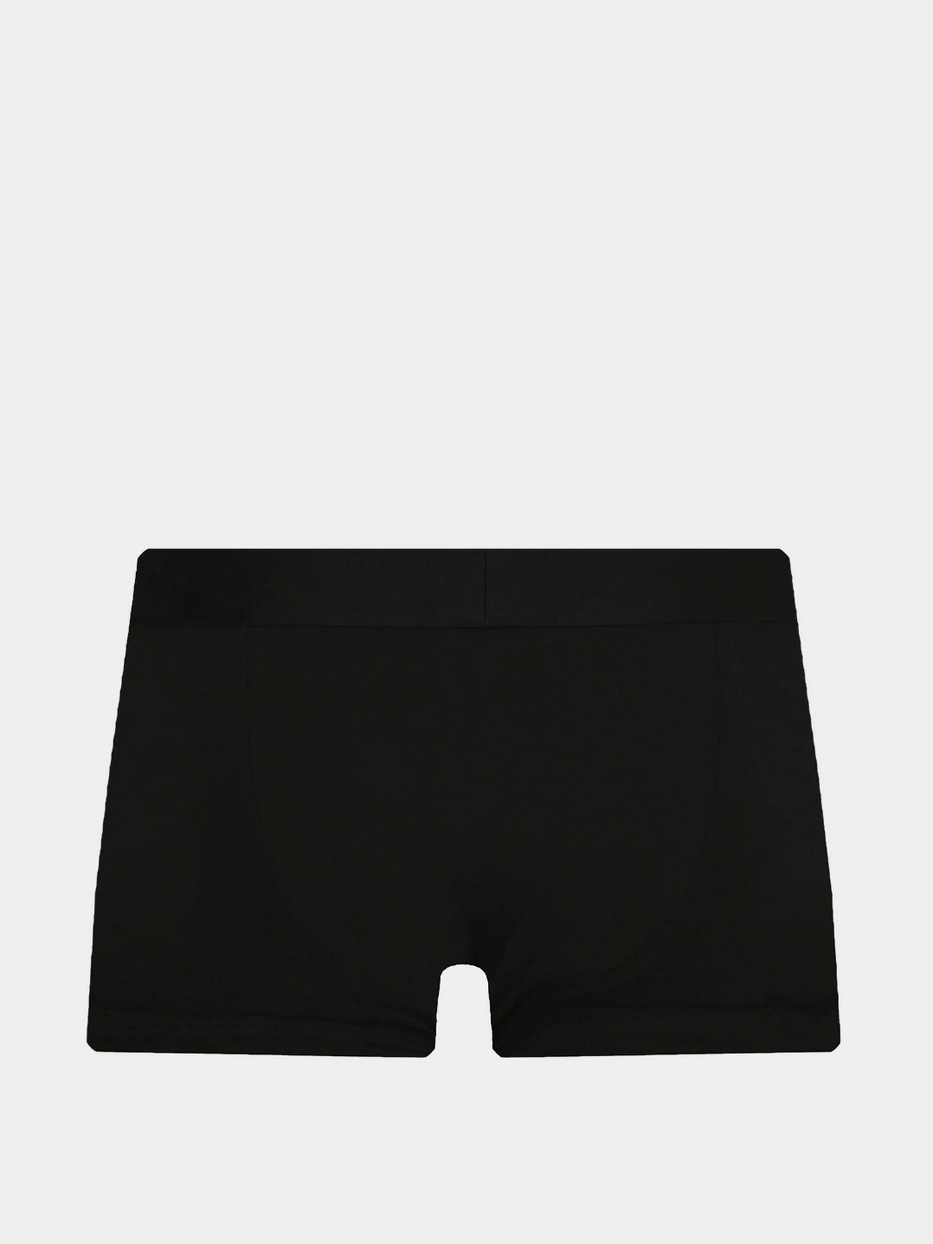 Нижнее белье Emporio Armani модель 111210-1A504-10039 Нижнее белье Emporio Armani модель 111210-1A504-10039 Фото