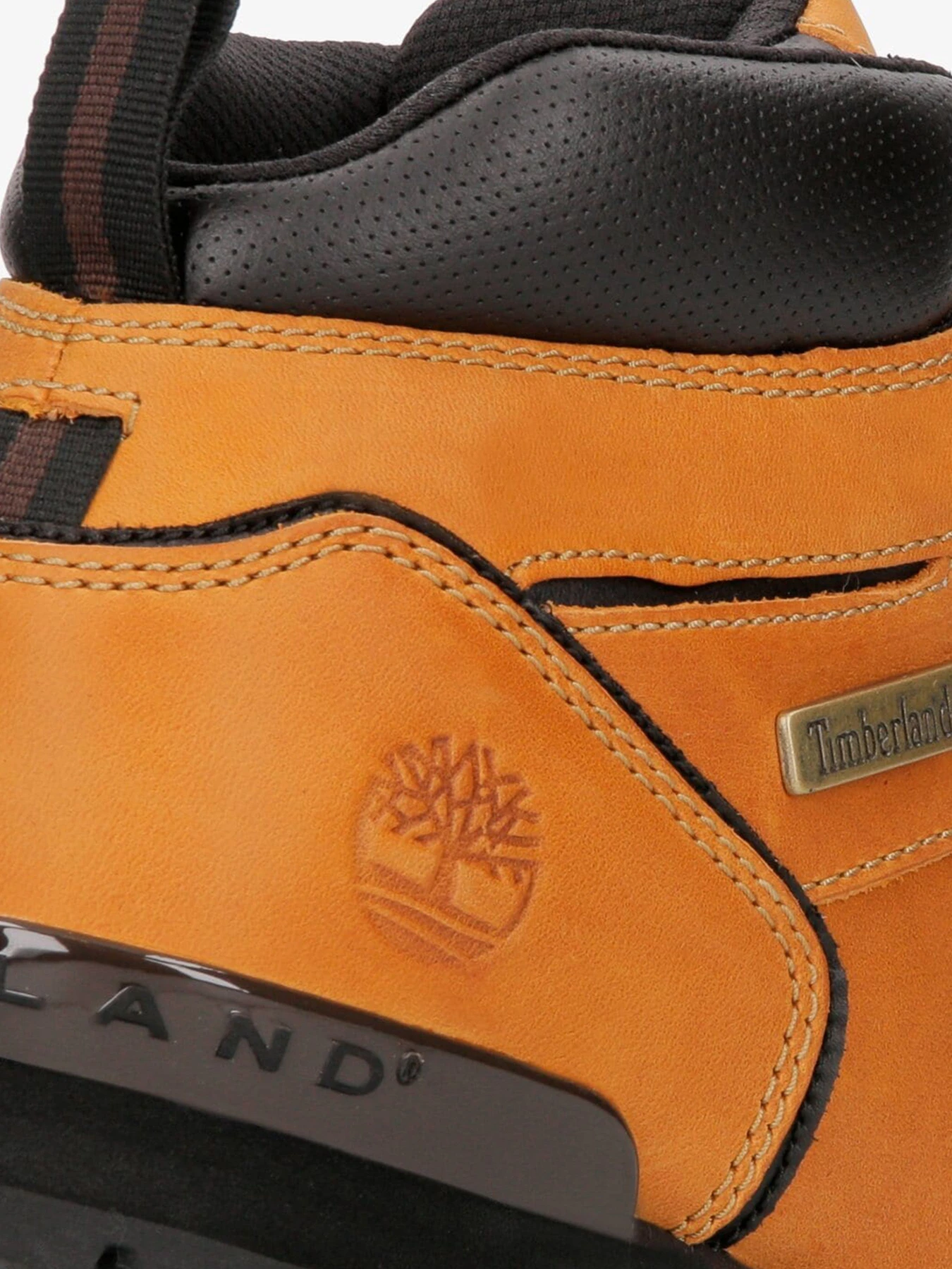 Ботинки и сапоги Timberland модель TB0A11VU231 Ботинки и сапоги Timberland модель TB0A11VU231 Фото