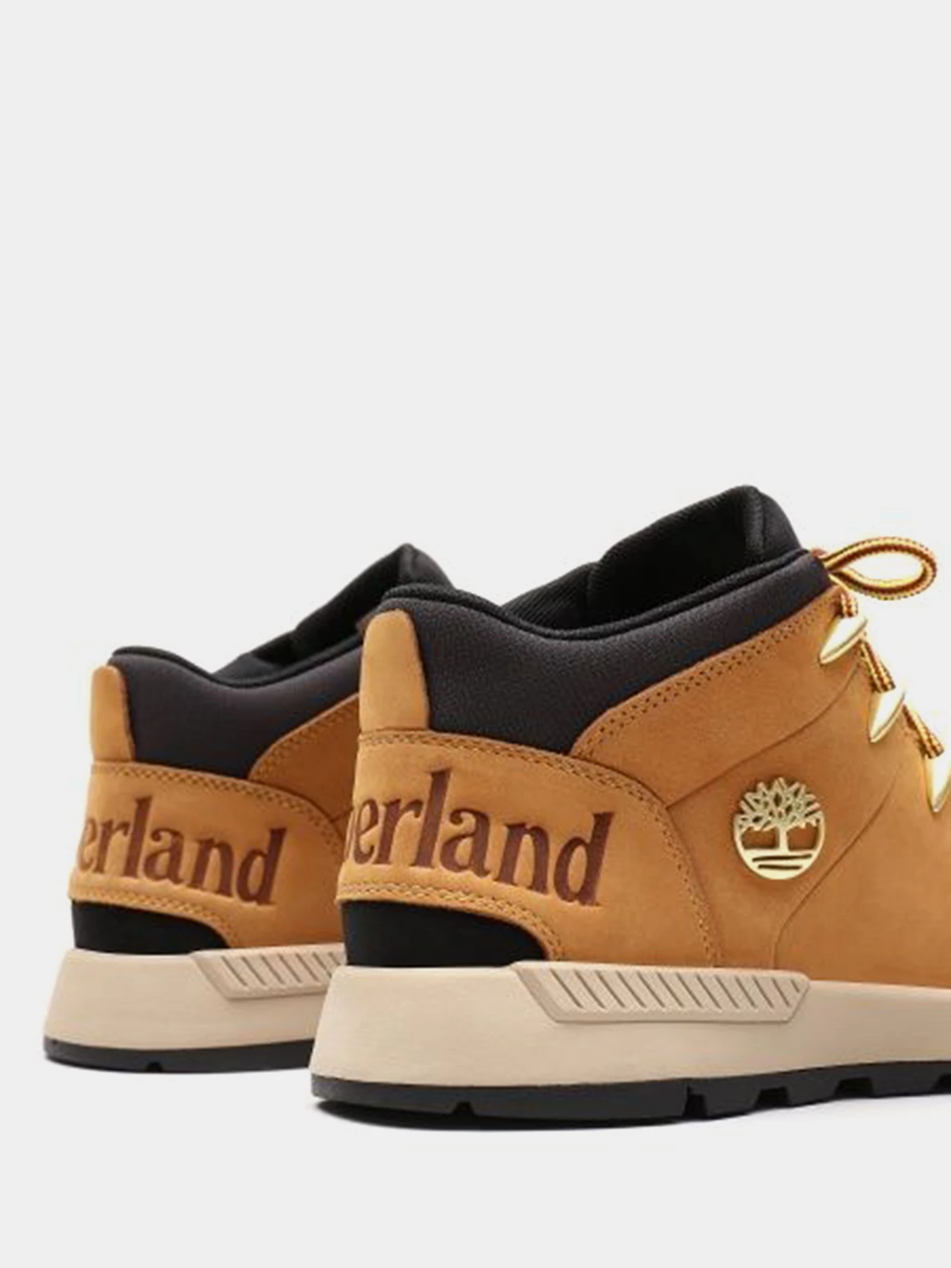 Ботинки и сапоги Timberland модель TB0A1XVQ231 Ботинки и сапоги Timberland модель TB0A1XVQ231 Фото