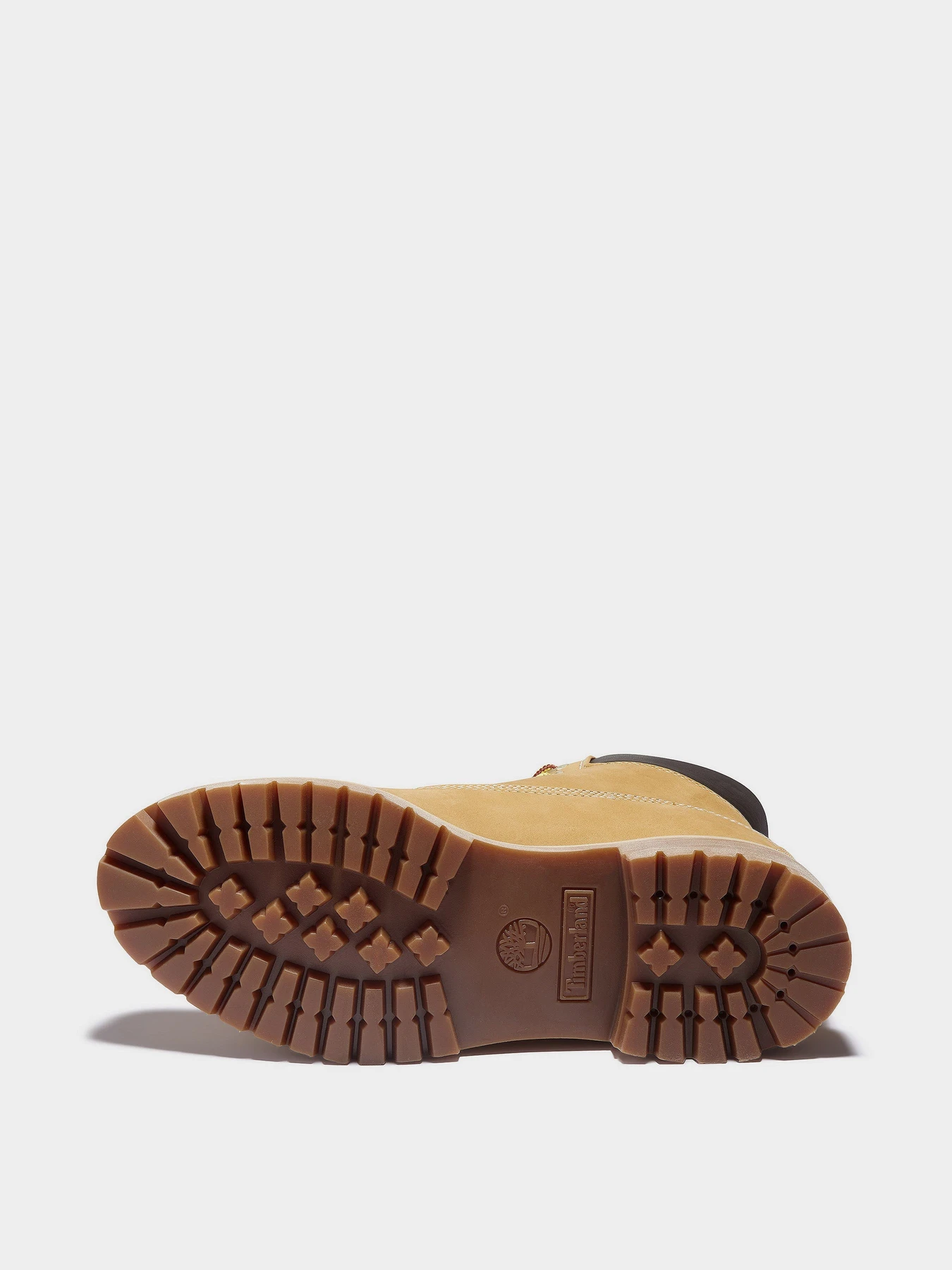 Ботинки и сапоги Timberland модель TB0A2E31231 Ботинки и сапоги Timberland модель TB0A2E31231 Фото