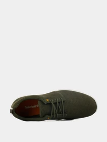 Кроссовки Timberland модель TB0A2G9YA58 Фото