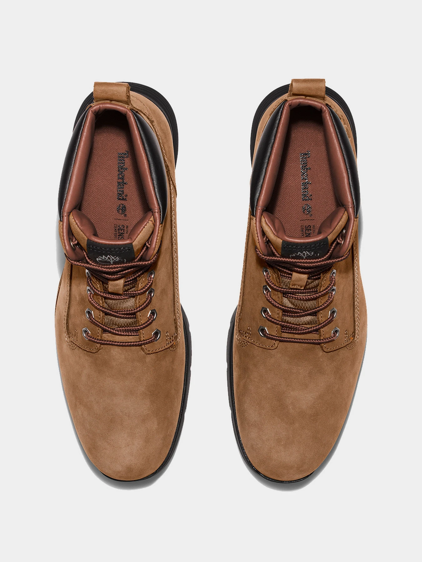 Ботинки и сапоги Timberland модель TB0A2GN6231 Ботинки и сапоги Timberland модель TB0A2GN6231 Фото