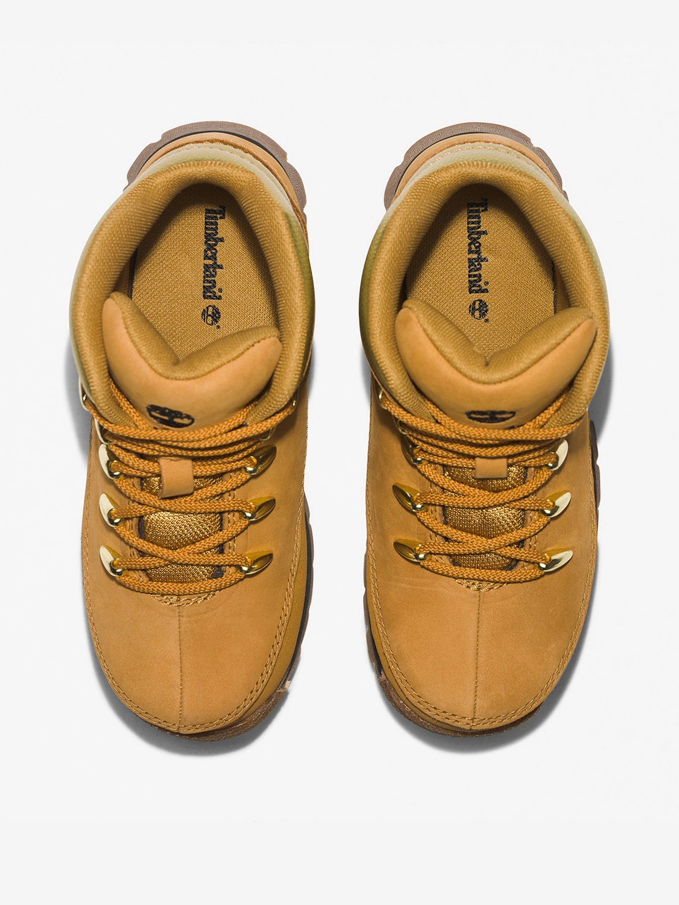 Ботинки и сапоги Timberland модель TB0A2MCK231 Ботинки и сапоги Timberland модель TB0A2MCK231 Фото