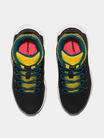 Ботинки и сапоги Timberland модель A42FK Фото