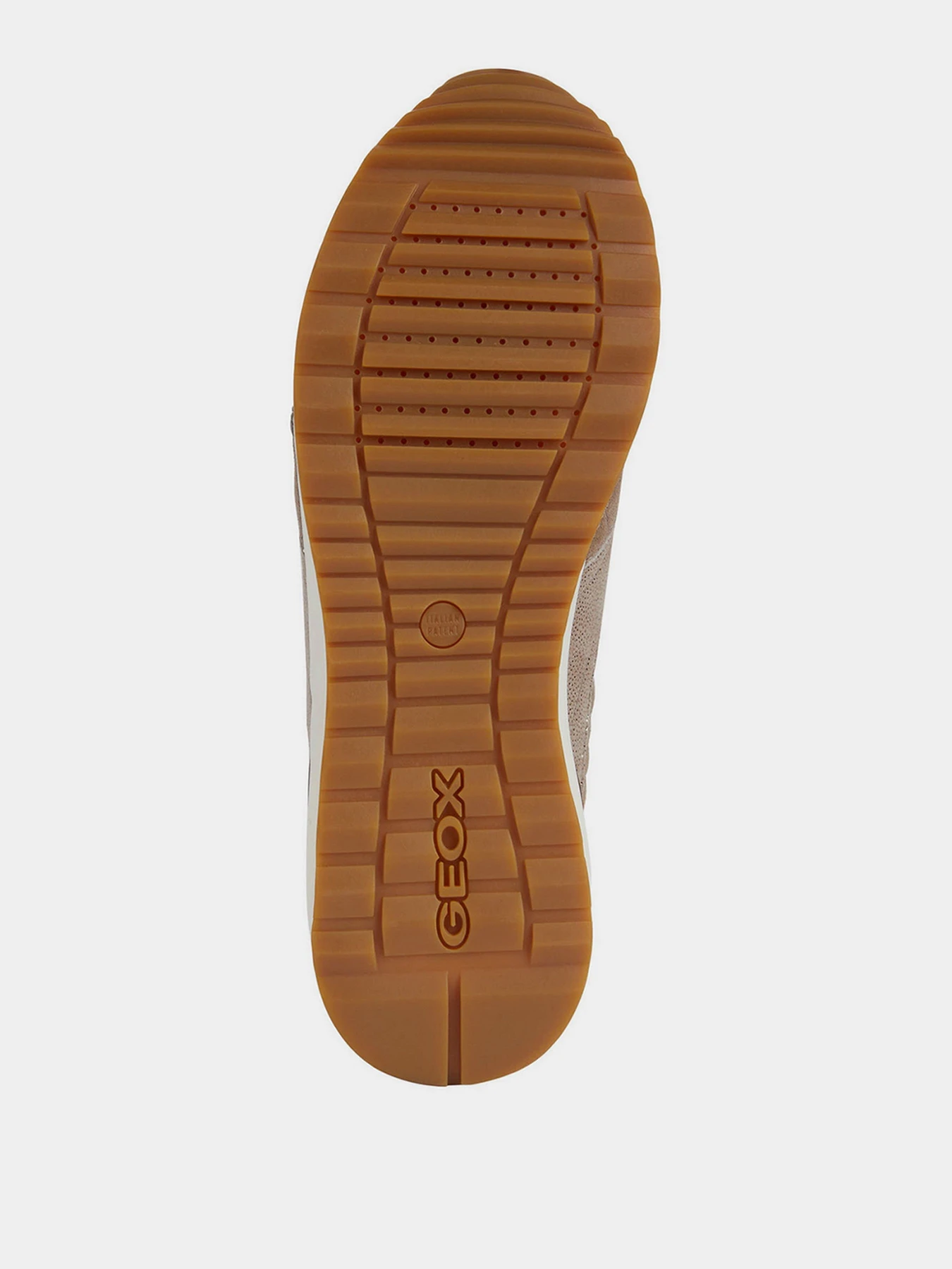 Кроссовки Geox модель D262SA-022BN-C5005 Кроссовки Geox модель D262SA-022BN-C5005 Фото