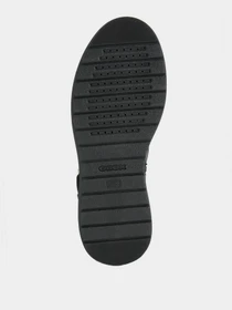 Ботинки и сапоги Geox модель D26FDA-00045-C9999 Фото