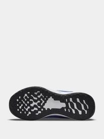 Кроссовки NIKE модель DD1095-411 Фото