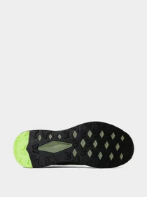 Кроссовки The North Face модель NF0A4T3N4R21 Фото