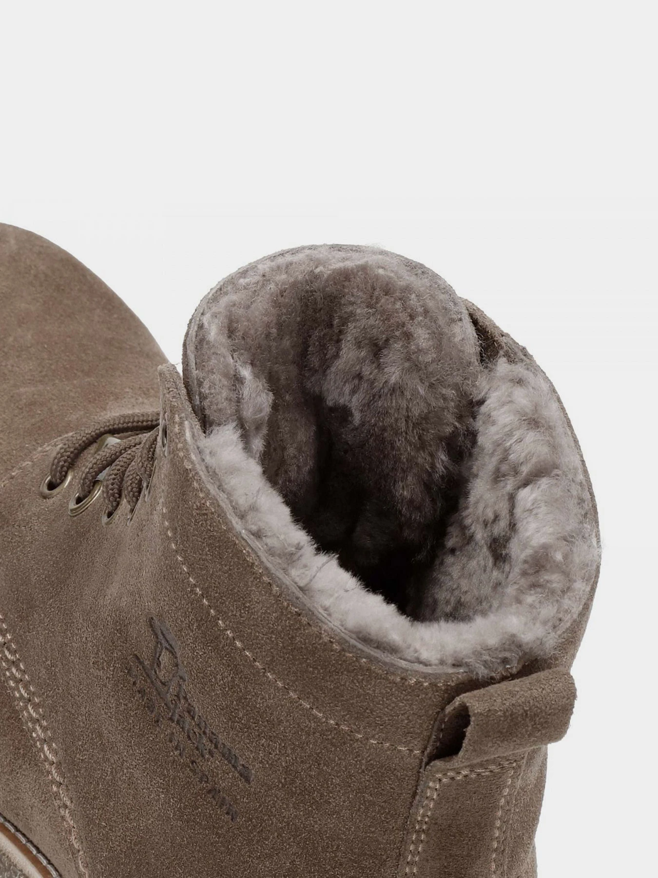Ботинки и сапоги Panama Jack модель Glasgow Igloo C22 Velour Humo / Smoke Фото