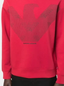 Худи и свитшоты Emporio Armani модель 3L1MFP-1JHSZ-0357 Фото
