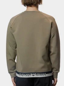 Худи и свитшоты Emporio Armani модель 3L1MFW-1JHSZ-0431 Фото
