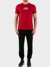 Футболки и поло Emporio Armani модель 3L1TFK-1JSAZ-0357 Фото