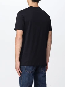 Футболки и поло Emporio Armani модель 3L1TFM-1JPZZ-09E8 Фото