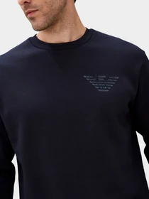 Худи и свитшоты Emporio Armani модель 6K1M86-1JQNZ-0920 Фото