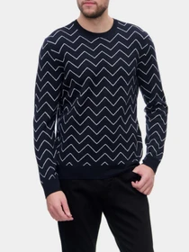 Худи и свитшоты Emporio Armani модель 6K1MXP-1MQYZ-F930 Фото