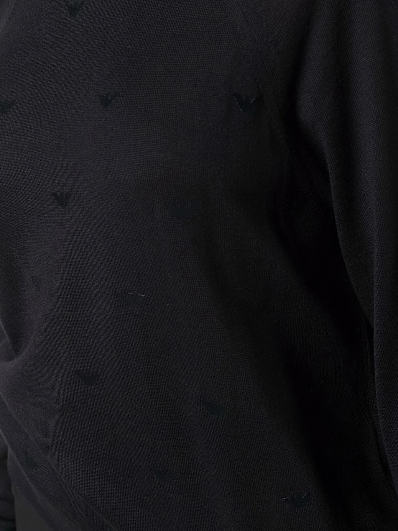 Худи и свитшоты Emporio Armani модель 6K2MW1-2M08Z-F052 Фото