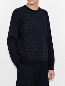 Худи и свитшоты Armani Exchange модель 6KZM1T-ZMN4Z-4520 Фото
