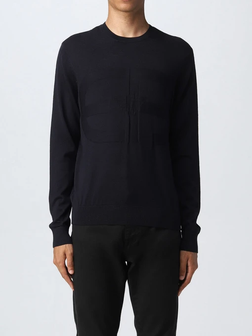 Худи и свитшоты Emporio Armani модель 6L1MU7-1MMVZ-0920 Фото