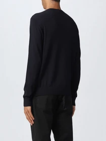 Худи и свитшоты Emporio Armani модель 6L1MU7-1MMVZ-0920 Фото