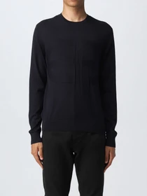 Худи и свитшоты Emporio Armani модель 6L1MU7-1MMVZ-0920 Фото