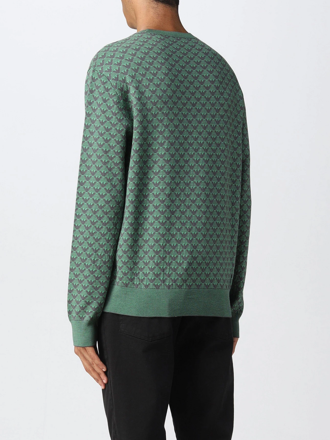 Худи и свитшоты Emporio Armani модель 6L1MX1-1MPRZ-F522 Фото
