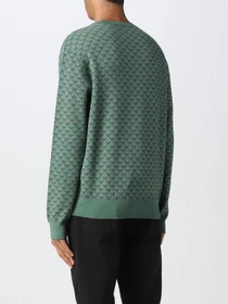 Худи и свитшоты Emporio Armani модель 6L1MX1-1MPRZ-F522 Фото