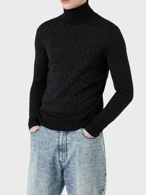 Худи и свитшоты Emporio Armani модель 6L1MX4-1MUZZ-F926 Фото