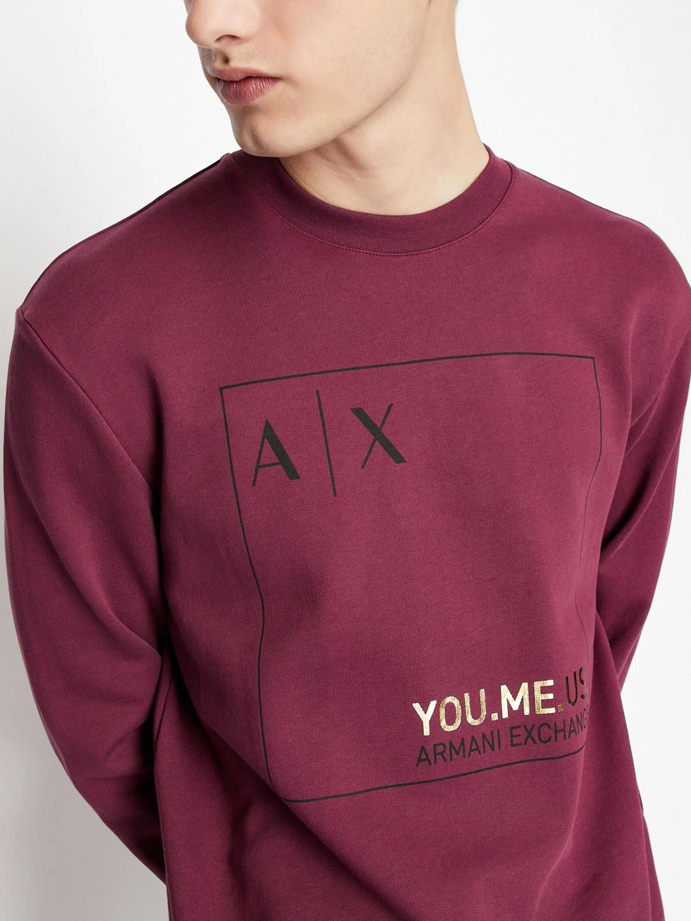 Худи и свитшоты Armani Exchange модель 6LZMAY-ZJFAZ-1306 Фото