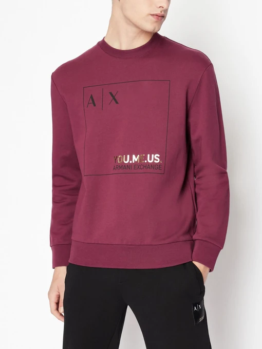 Худи и свитшоты Armani Exchange модель 6LZMAY-ZJFAZ-1306 Фото