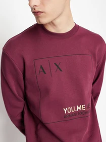Худи и свитшоты Armani Exchange модель 6LZMAY-ZJFAZ-1306 Фото