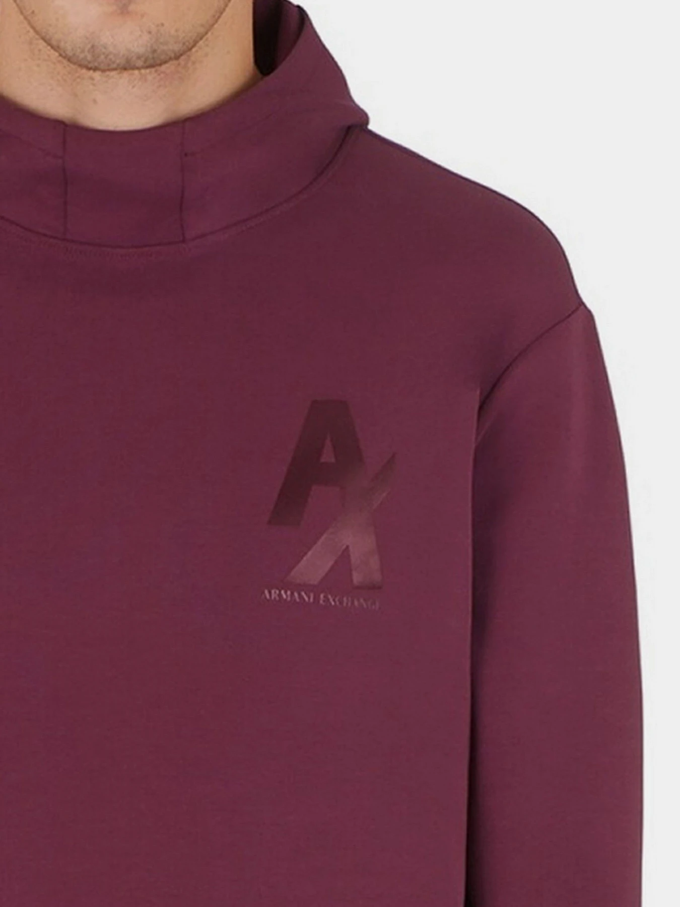 Худи и свитшоты Armani Exchange модель 6LZMHC-ZJXBZ-1306 Худи и свитшоты Armani Exchange модель 6LZMHC-ZJXBZ-1306 Фото