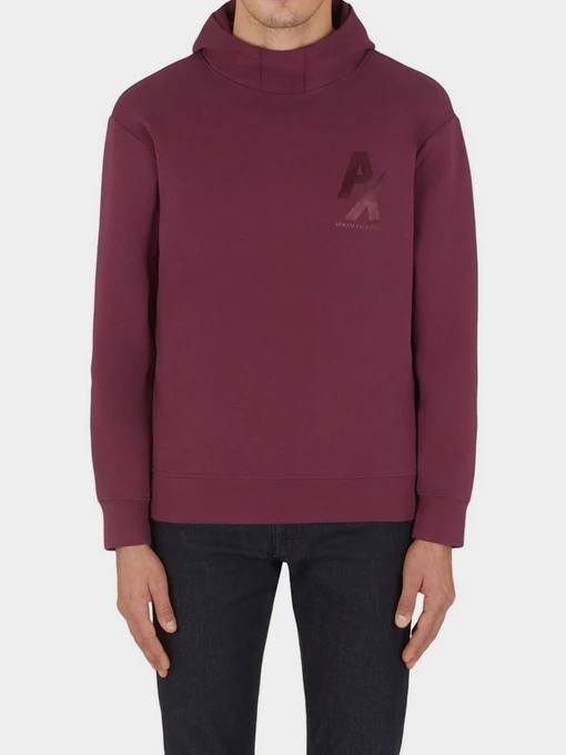 Худи и свитшоты Armani Exchange модель 6LZMHC-ZJXBZ-1306 Фото