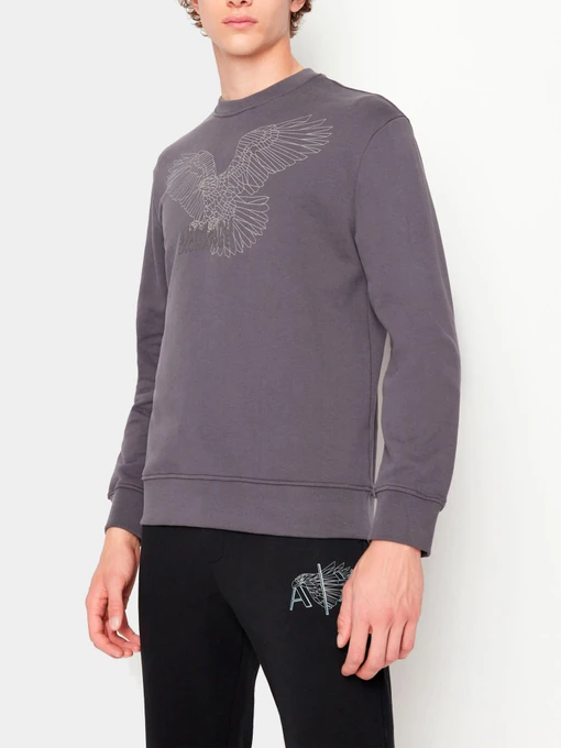 Худи и свитшоты Armani Exchange модель 6LZMHG-ZJ6RZ-1978 Фото