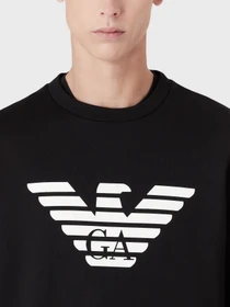 Худи и свитшоты Emporio Armani модель 8N1MR6-1JRIZ-F008 Фото