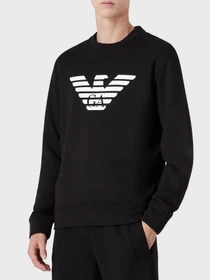 Худи и свитшоты Emporio Armani модель 8N1MR6-1JRIZ-F008 Фото