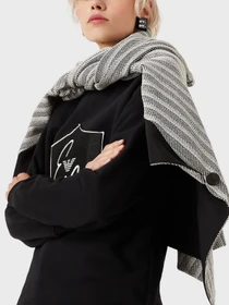 Худи и свитшоты Emporio Armani модель 8N2M9G-2JSDZ-0999 Фото