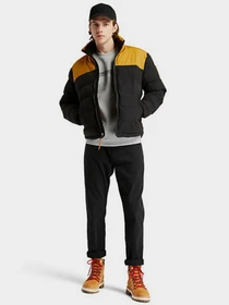 Куртки и дубленки Timberland модель TB0A22XBP57 Фото