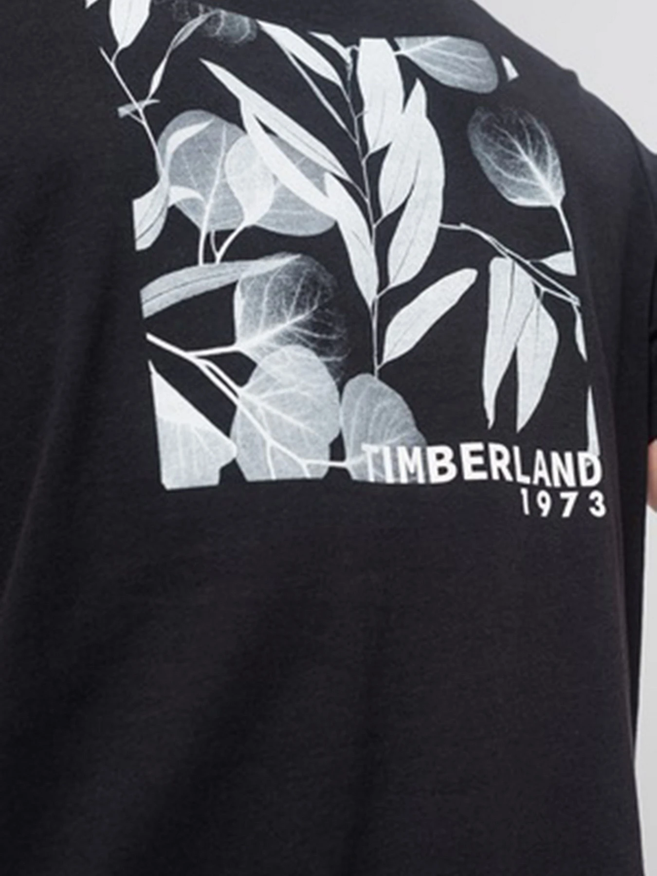 Футболки и поло Timberland модель A26RT001 Футболки и поло Timberland модель A26RT001 Фото