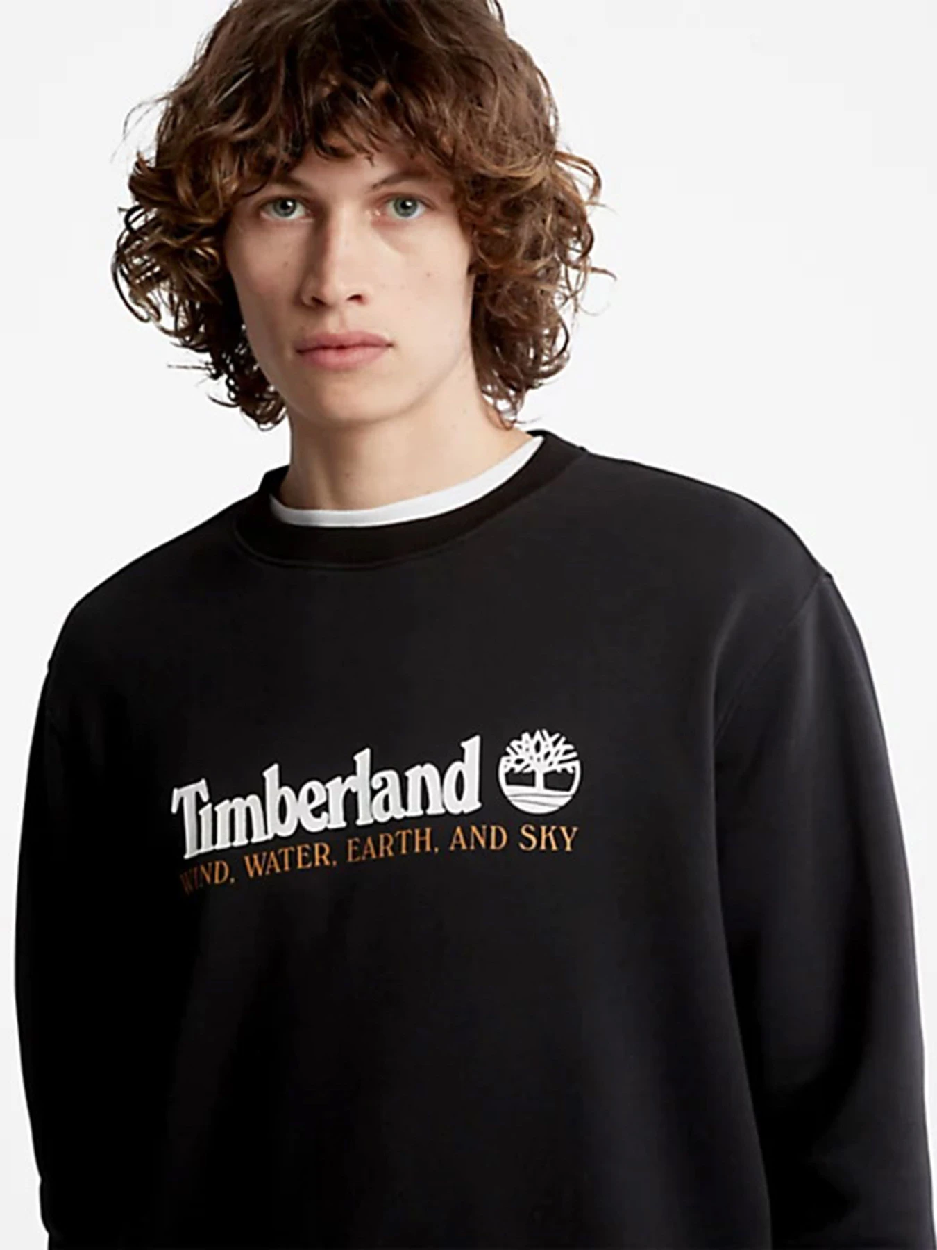 Худи и свитшоты Timberland модель TB0A27HC001 Худи и свитшоты Timberland модель TB0A27HC001 Фото