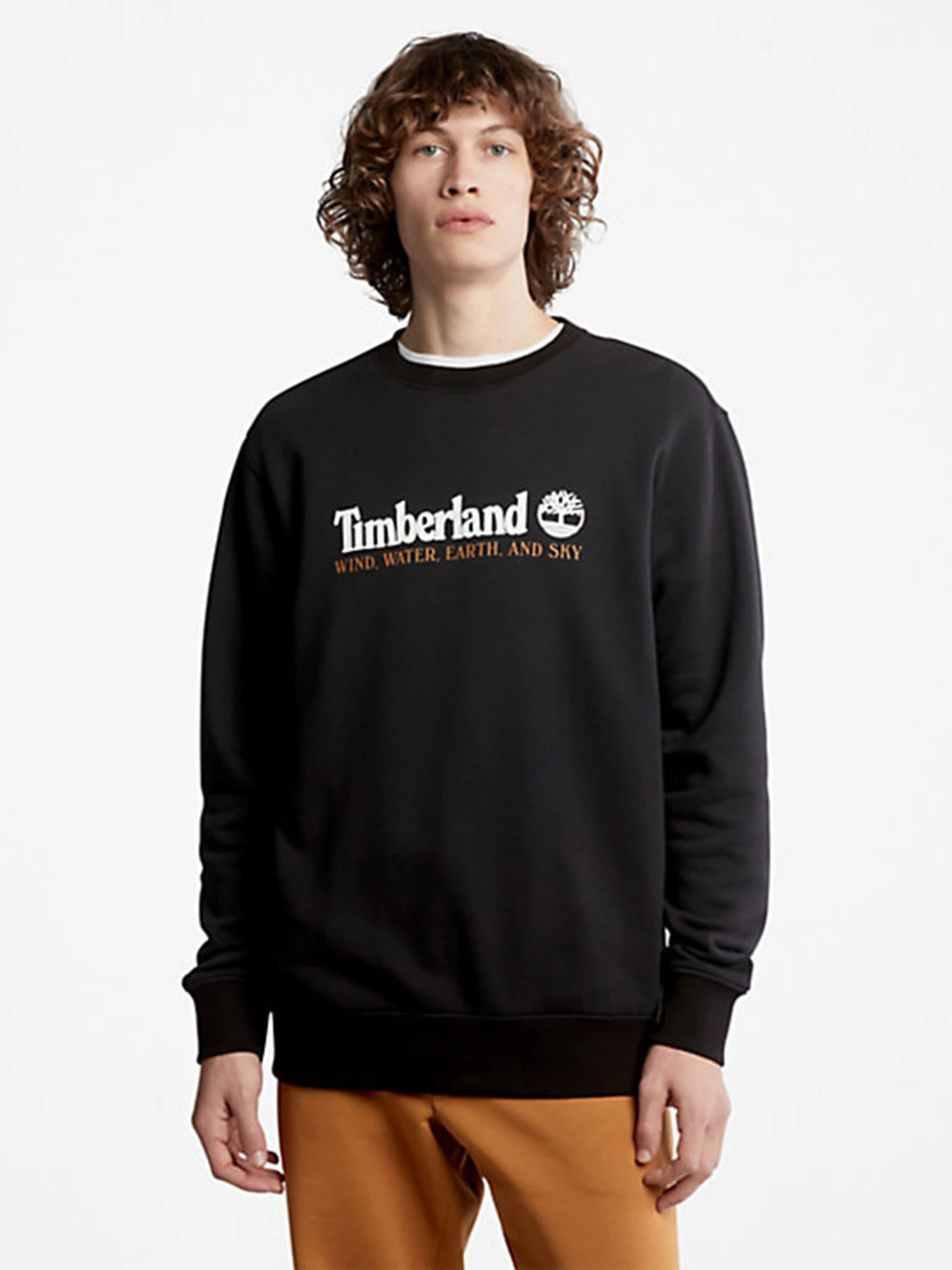 Худи и свитшоты Timberland модель TB0A27HC001 Худи и свитшоты Timberland модель TB0A27HC001 Фото