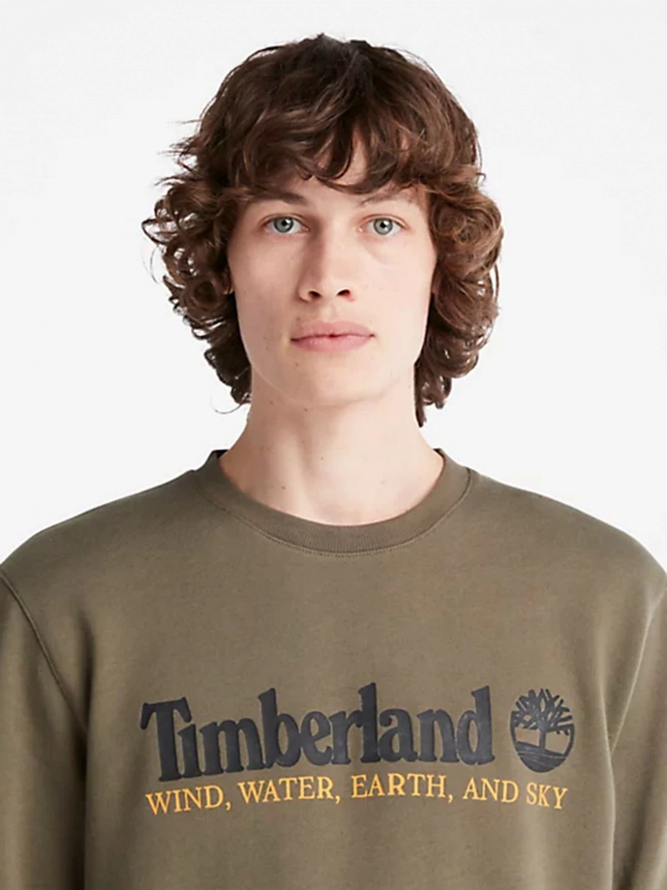Худи и свитшоты Timberland модель A27HCA58 Худи и свитшоты Timberland модель A27HCA58 Фото
