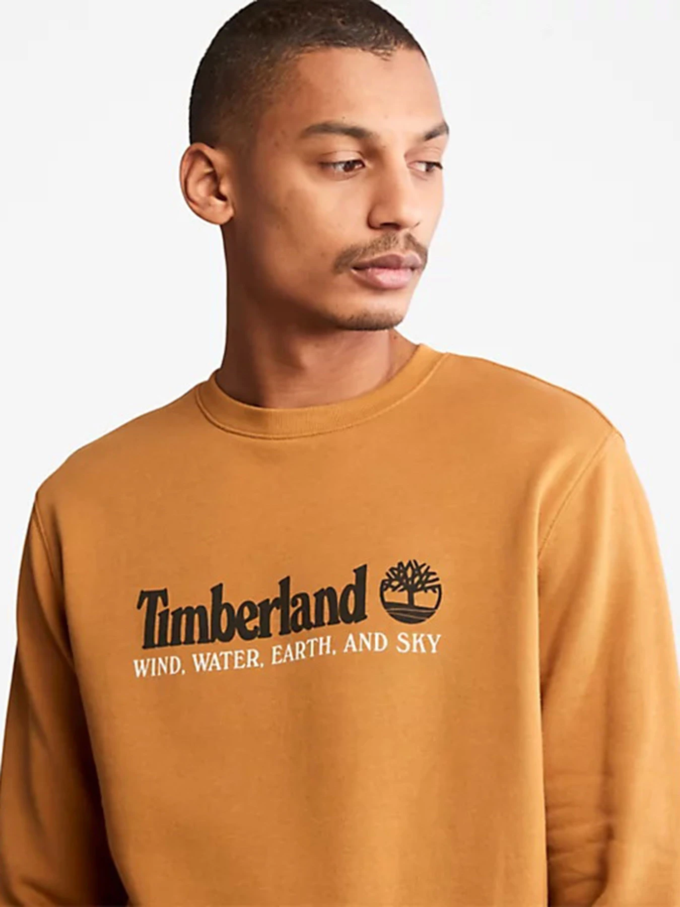 Худи и свитшоты Timberland модель TB0A27HCP47 Худи и свитшоты Timberland модель TB0A27HCP47 Фото