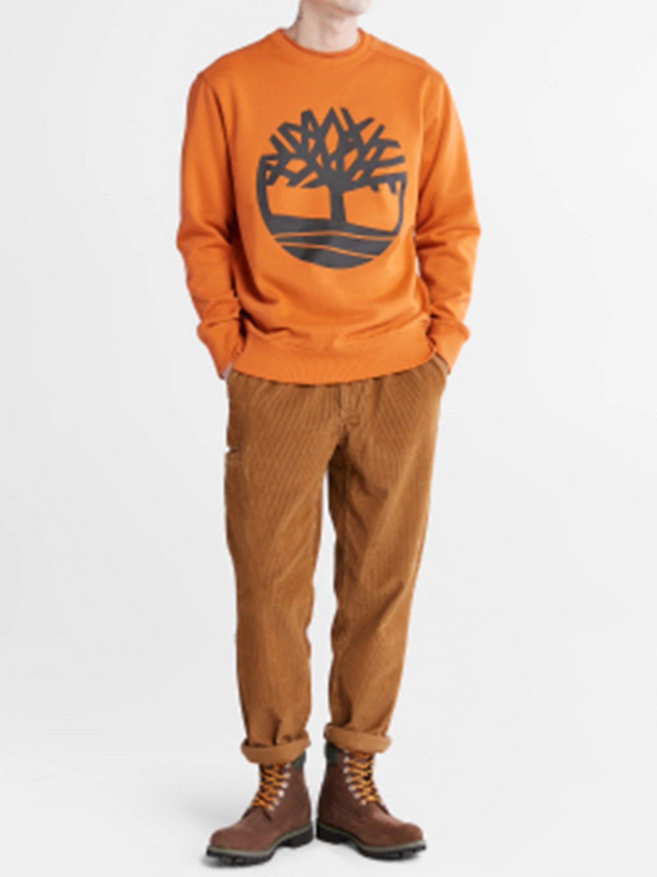 Худи и свитшоты Timberland модель A2BJ8643 Худи и свитшоты Timberland модель A2BJ8643 Фото