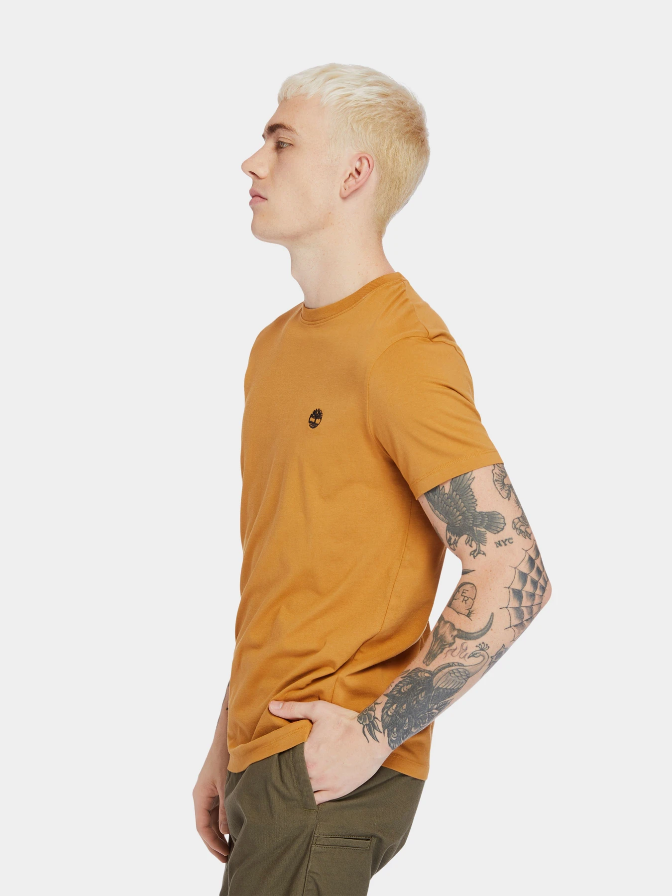 Футболки и поло Timberland модель TB0A2BPRP47 Футболки и поло Timberland модель TB0A2BPRP47 Фото