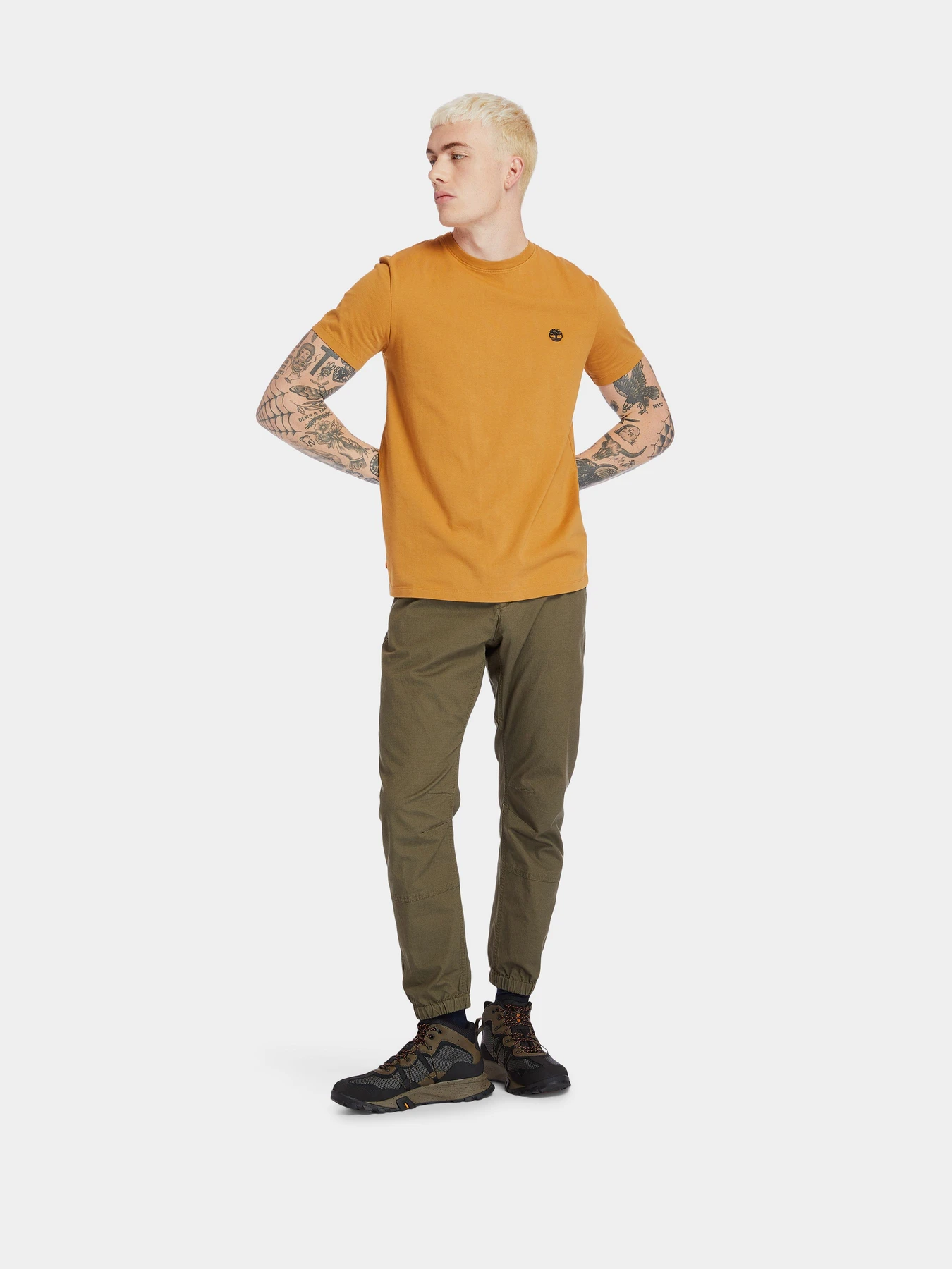 Футболки и поло Timberland модель TB0A2BPRP47 Футболки и поло Timberland модель TB0A2BPRP47 Фото