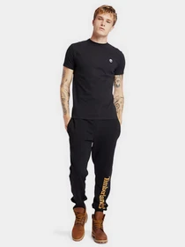Брюки Timberland модель TB0A2BVFP56 Фото