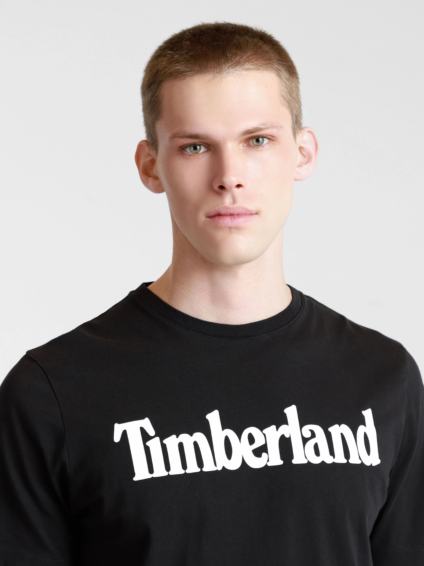 Футболки и поло Timberland модель TB0A2C31001 Футболки и поло Timberland модель TB0A2C31001 Фото