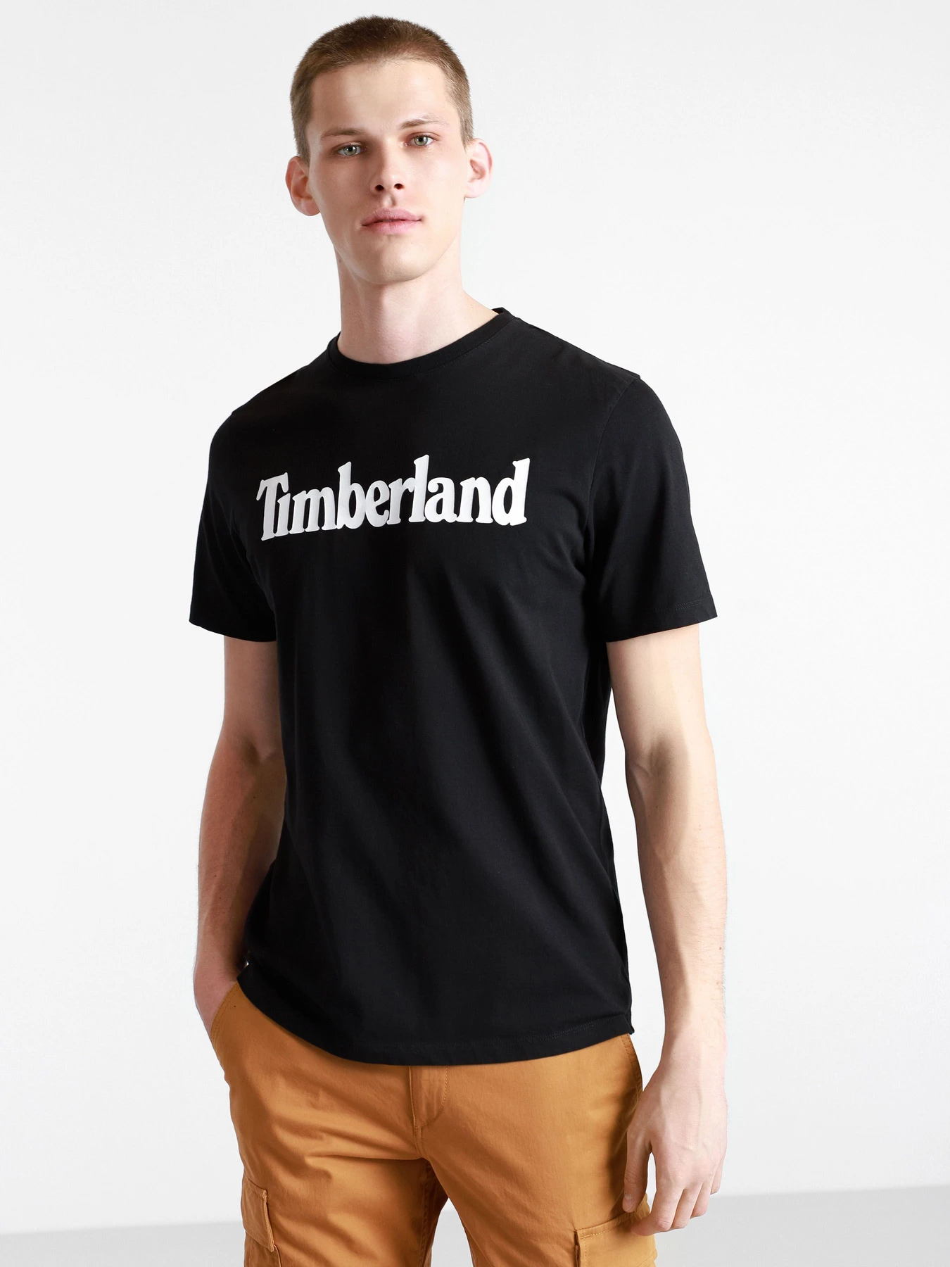 Футболки и поло Timberland модель TB0A2C31001 Футболки и поло Timberland модель TB0A2C31001 Фото