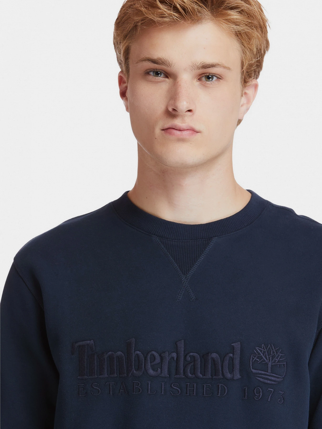 Худи и свитшоты Timberland модель TB0A2CQZ433 Худи и свитшоты Timberland модель TB0A2CQZ433 Фото