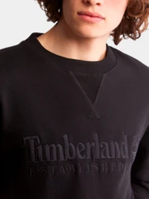 Худи и свитшоты Timberland модель TB0A2FEQ001 Фото
